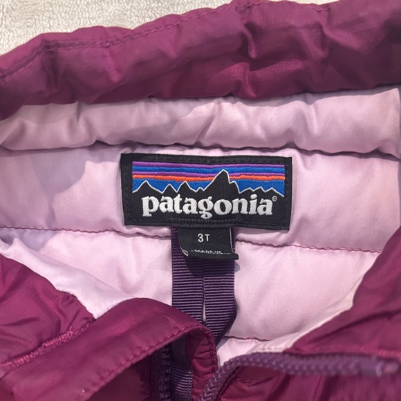 Patagonia Baby Down Sweater Vest 3T - Picture 4 of 7